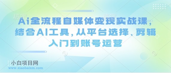 Ai全流程自媒体变现实战课,结合AI工具,从平台选择、剪辑入门到账号运营