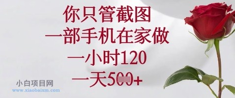 你只管截图，一部手机在家做，苹果安卓都可以，一小时120，一天5张+【揭秘】-小白项目分享网