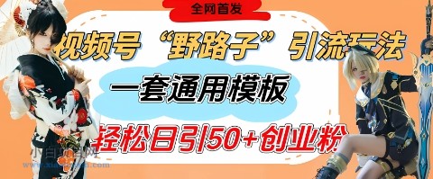 视频号“野路子”玩法，评论区疯狂截流，一套模板单日单号引流50+创业粉-小白项目分享网
