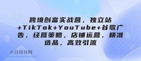 跨境创富实战营,独立站+TikTok+YouTube+谷歌广告,经营策略,店铺运营,精准选品,高效引流