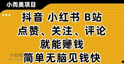 小而美的项目,抖音小红书B站视频点赞、关注、评论就能挣钱,简单无脑立见收益,妥妥的零撸项目【揭秘】