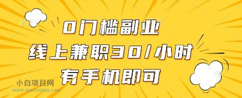 0门槛副业，线上兼职30一小时，有一部手机即可操作【揭秘】-小白项目分享网