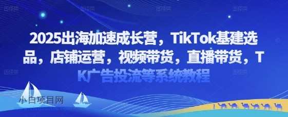 2025出海加速成长营,TikTok基建选品,店铺运营,视频带货,直播带货,TK广告投流等系统教程