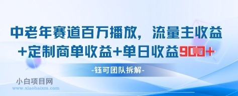 中老年赛道百万播放+流量主收益+定制收益,单日收益9张