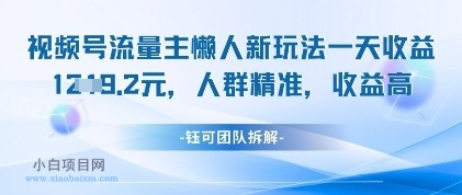 视频号流量主懒人新玩法，一天收益1k，人群精准收益高-小白项目分享网