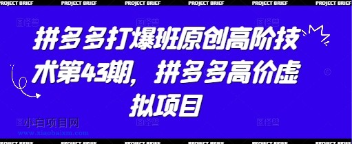 拼多多打爆班原创高阶技术第43期，拼多多高价虚拟项目-小白项目分享网