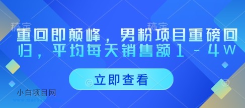重回即颠峰,男粉项目重磅回归,平均每天销售额1-4W