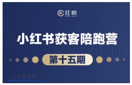 抖音小红书视频号短视频带货与直播变现(11-16期),打造爆款内容,实现高效变现(更新)