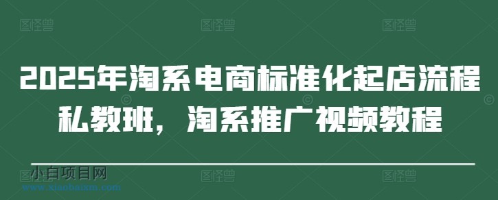 2025年淘系电商标准化起店流程私教班,淘系推广视频教程