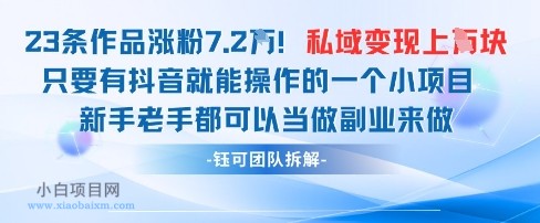 抖音私域项目23条作品涨粉7.2W，私域变现1W-小白项目分享网