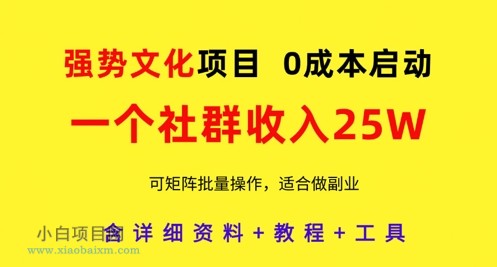 强势文化项目,一个社群收入25个W,0成本启动,可矩阵批量操作,原创详细实操教程