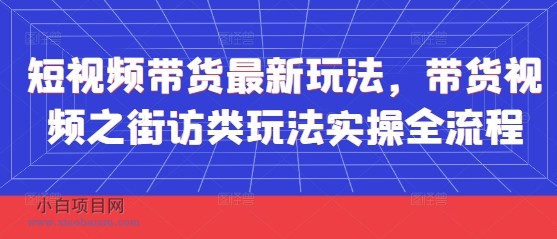 短视频带货最新玩法，带货视频之街访类玩法实操全流程-小白项目分享网