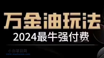 2024最牛强付费,万金油强付费玩法,干货满满,全程实操起飞(更新25年04月)