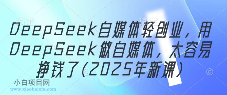 DeepSeek自媒体轻创业,用DeepSeek做自媒体,太容易挣钱了(2025年新课)