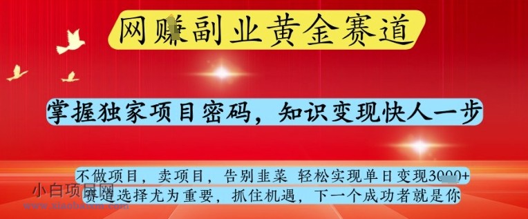 网创副业黄全赛道,掌握独家项目密码,知识变现快人一步,告别韭菜轻松实现单日变现1k+【揭秘】-小白项目分享网