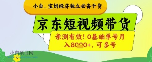 小白宝妈经济独立必备干货，京东短视频带货，亲测有效!0基础单号月入8k+，可多号【揭秘】-小白项目分享网