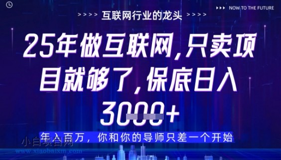 什么!25年你还在找项目做?风口早就变了,卖项目才是稳挣不赔【揭秘】