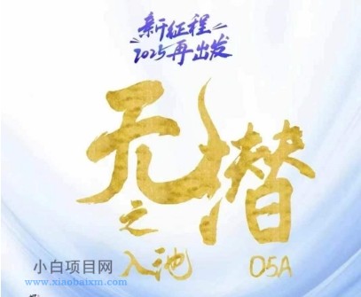 无潜不起全域入池方法论,2025再出发,全程干货满满,带你掌握全域入池关键技巧-小白项目分享网