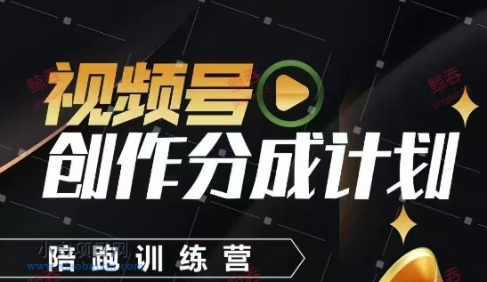 视频号创作分成计划陪跑训练营，手把手教会你如何制作视频，细水长流型项目-小白项目分享网
