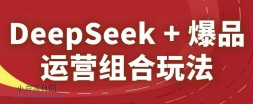 DeepSeek+爆品运营组合玩法,2025淘系精品课