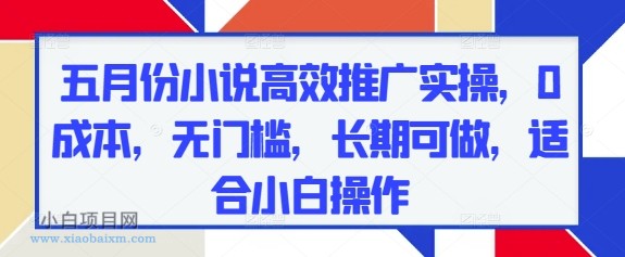 五月份小说高效推广实操，0成本，无门槛，长期可做，适合小白操作-小白项目分享网