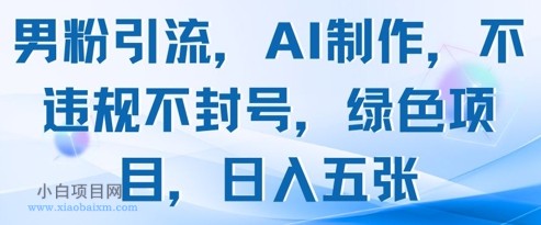 男粉引流，AI制作，不违规不封号，绿色项目，日入五张-小白项目分享网