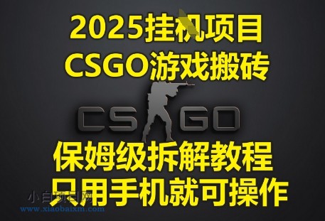 2025挂G项目，CSGO游戏搬砖，保姆级拆解教程，只用手机就可操作【揭秘】-小白项目分享网