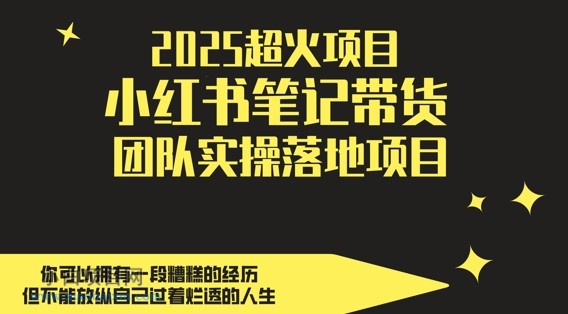 2025超火项目，副业最佳选择，小红书笔记带货团队实操落地项目，，轻松日入5张-小白项目分享网