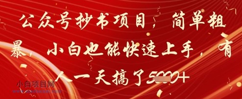 公众号抄书项目,简单粗暴,小白也能快速上手,有人一天搞了1k+