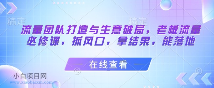 流量团队打造与生意破局,老板流量必修课,抓风口,拿结果,能落地
