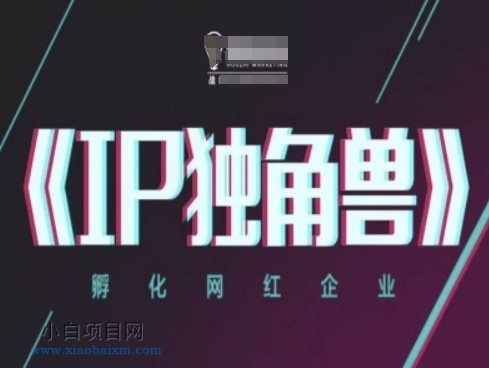 IP独角兽,孵化网红企业,ip教程