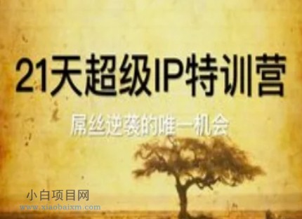 21天超级IP特训营，屌丝逆袭的唯一机会-小白项目分享网