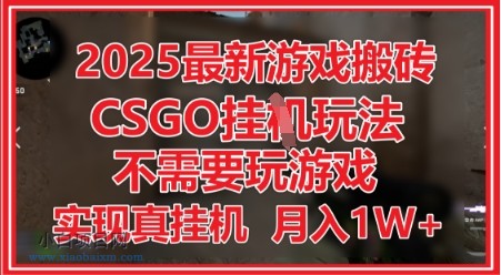 2025最新游戏搬砖，CSGO挂G，不需要玩游戏，实现真挂G，月入1W+【揭秘】-小白项目分享网
