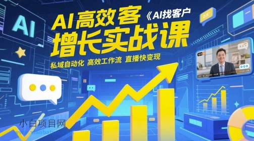 AI高效获客增长实战课,AI找客户 私域自动化 高效工作流 直播快变现