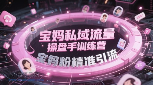 宝妈私域流量操盘手训练营，宝妈粉精准引流-小白项目分享网