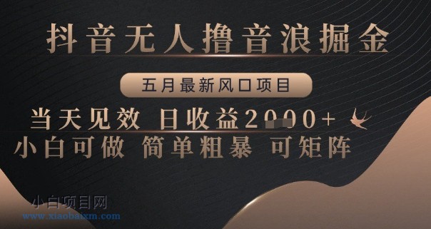抖音无人撸音浪掘金,五月最新风口项目,当天见效,日收益多张,小白可做简单粗暴可矩阵【揭秘】