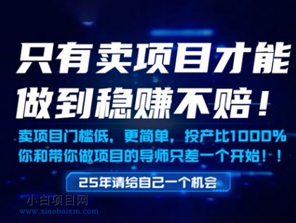 只有卖项目才能做到稳挣不赔,门槛低,更简单,你也可以年入百个W【揭秘】