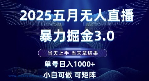 2025五月无人直播暴力掘金3.0,当天上手,当天拿结果,单号日入1k+小白可做可矩阵【揭秘】-小白项目分享网
