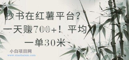 抄书在小红薯平台？平均一单30米，一天收益几张！-小白项目分享网