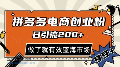 拼多多引流电商创业粉,日引200+,可矩阵放大,做了就有效【揭秘】
