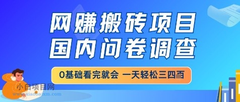 网创搬砖项目,国内问卷调查,小白轻松上手,一天三四张的也不难,干就完了【揭秘】