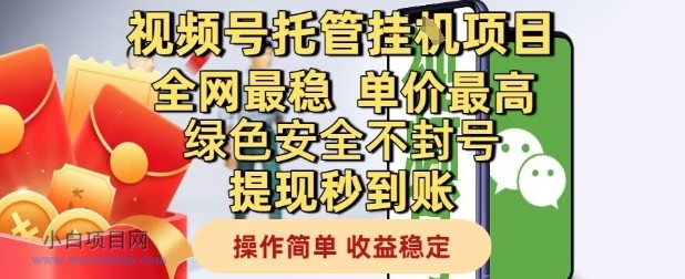 视频号托管挂G项目全网最稳,单价最高,绿色安全不封号提现秒到账,操作简单,收益稳定【揭秘】
