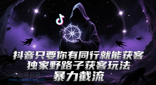 抖音只要你有同行就能获客,独家野路子获客玩法,暴力截流【揭秘】-小白项目分享网