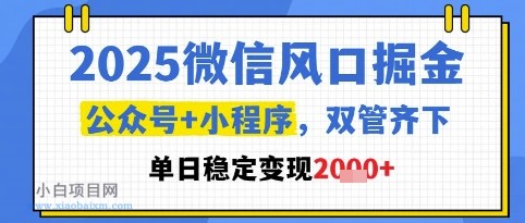 2025微信风口掘金,公众号+小程序双管齐下,单日稳定变现1k+【揭秘】