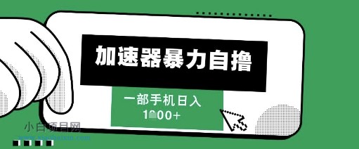 2025新风口,加速器暴力自撸,单机日入1k+【揭秘】-小白项目分享网