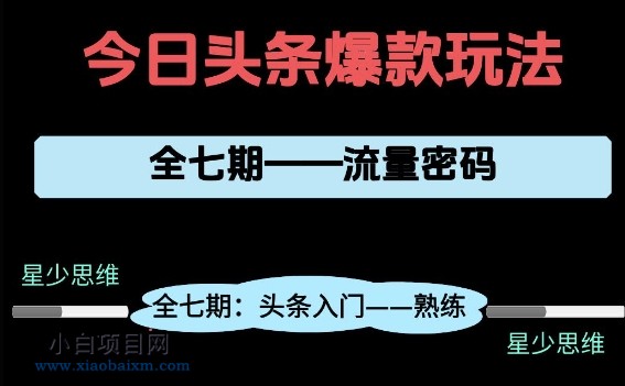 头条系列全七期项目拆解，全是干货，新手从0-1必经过程，99的人会踩的坑-小白项目分享网