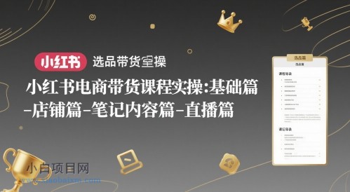 小红书电商带货课程实操:基础篇-选品篇-店铺篇-笔记内容篇-直播篇-小白项目分享网