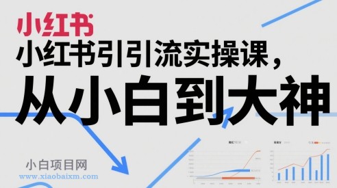 小红书引流实操课,从小白到大神