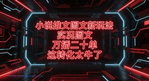 小说推文图文新玩法,实况图文,万播二十单,这转化太牛了!