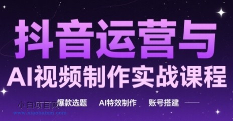 抖音运营与AI视频制作实战课程，爆款选题-AI特效制作-账号搭建-小白项目分享网